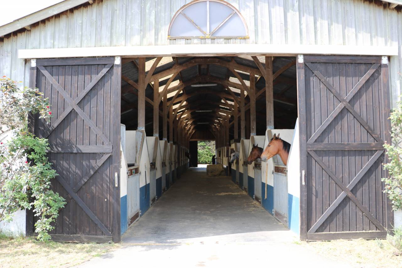 Centro di stagione cavallo In vendita Orne