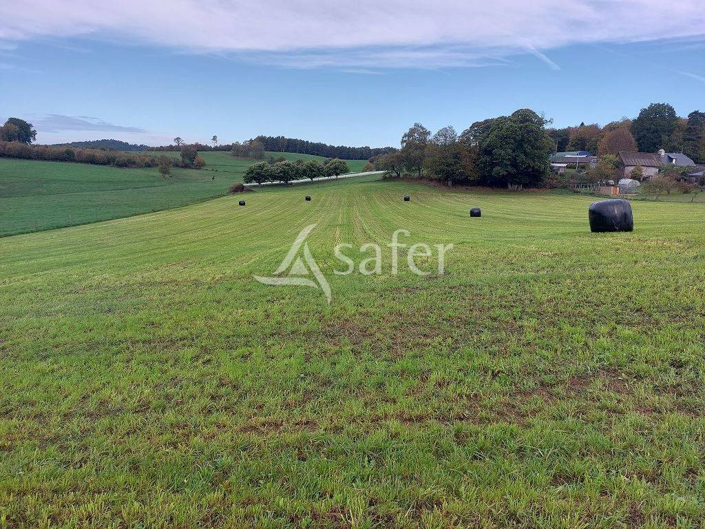 Azienda ovina In vendita Corrèze