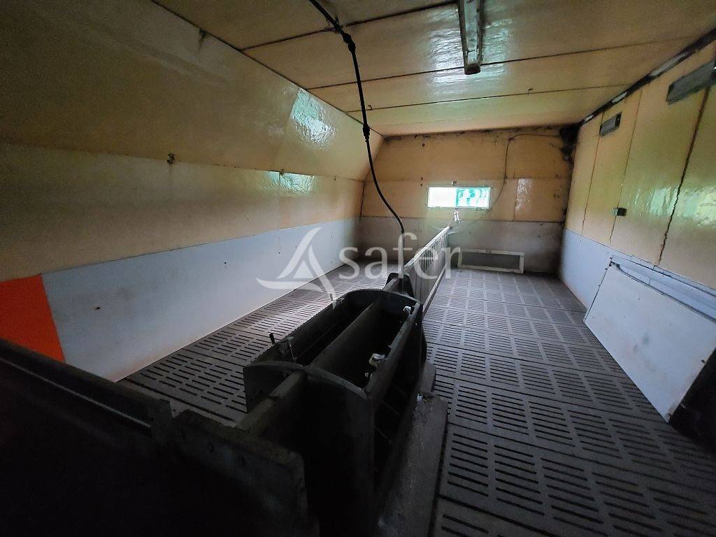 Azienda ovina In vendita Corrèze