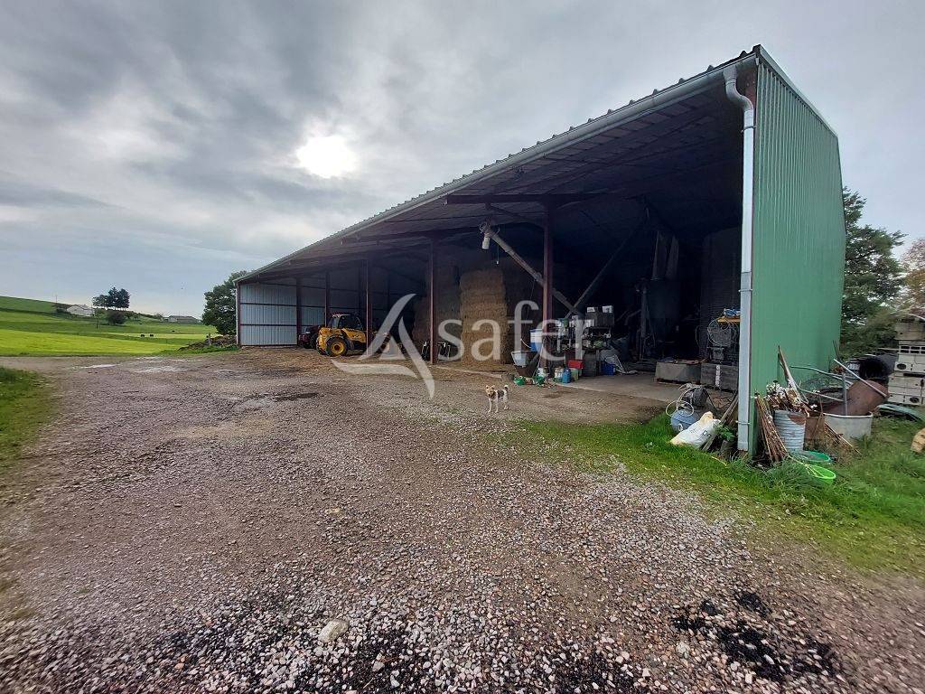 Azienda ovina In vendita Corrèze