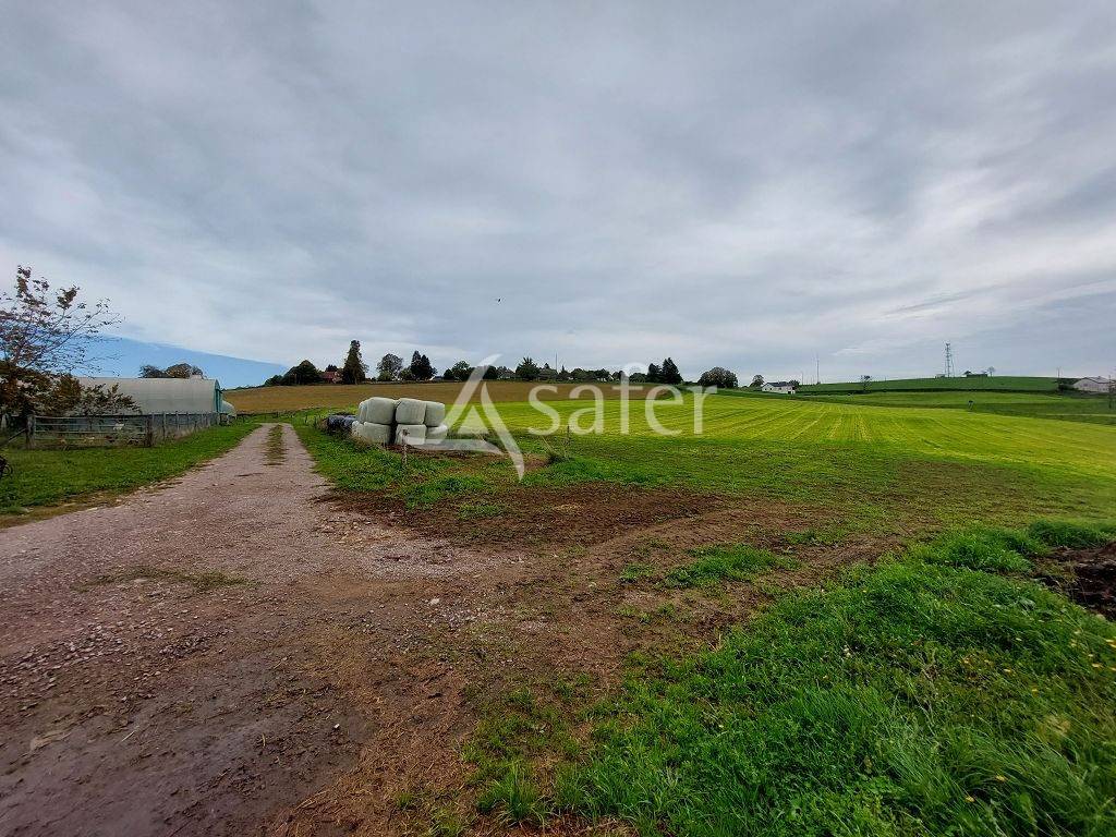 Azienda ovina In vendita Corrèze