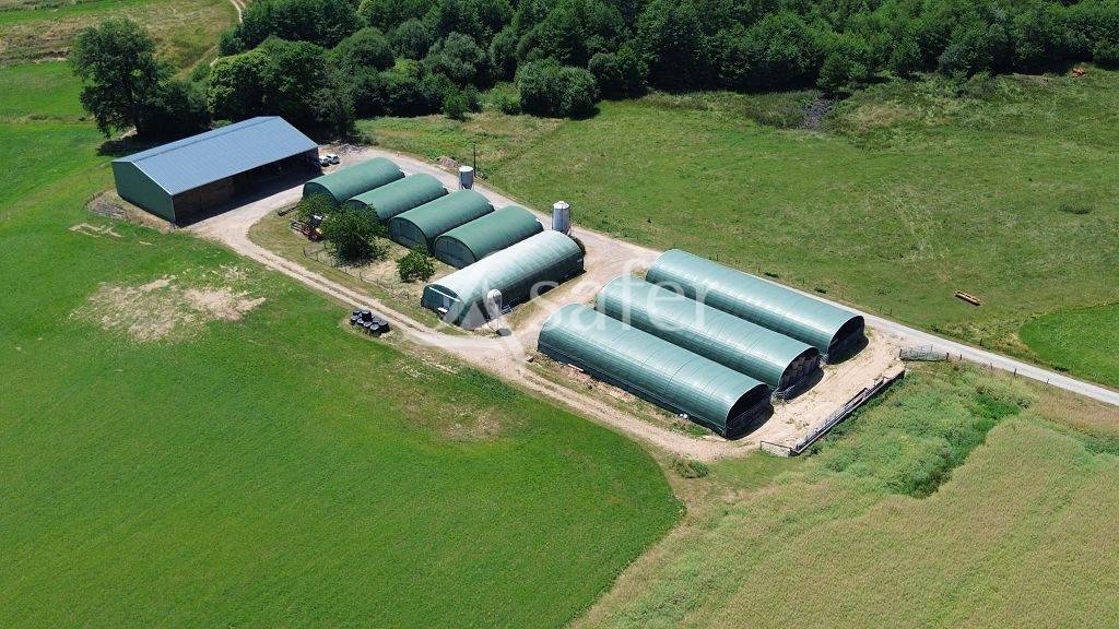 Azienda ovina In vendita Corrèze