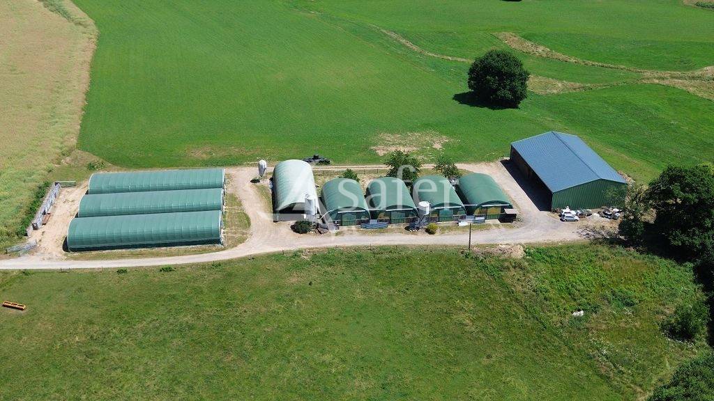 Azienda ovina In vendita Corrèze