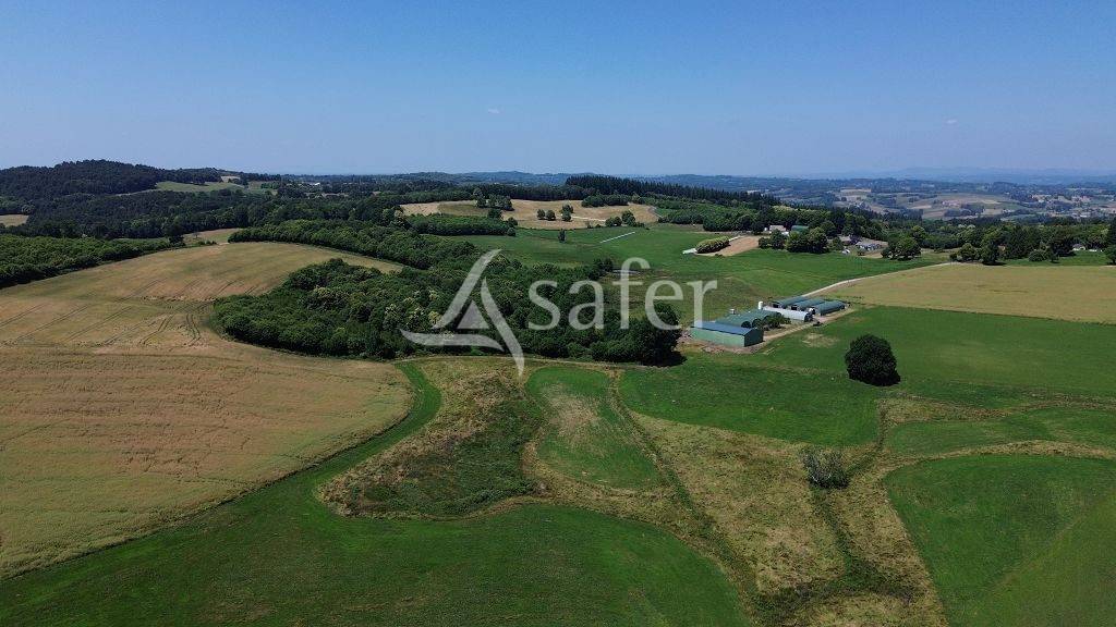 Azienda ovina In vendita Corrèze