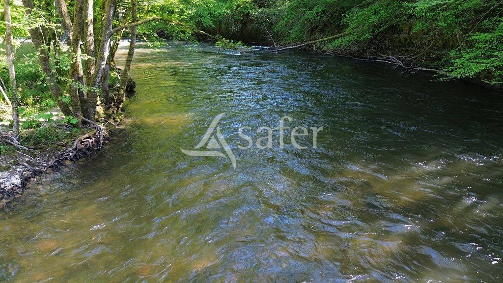 Azienda agricola In vendita Corrèze