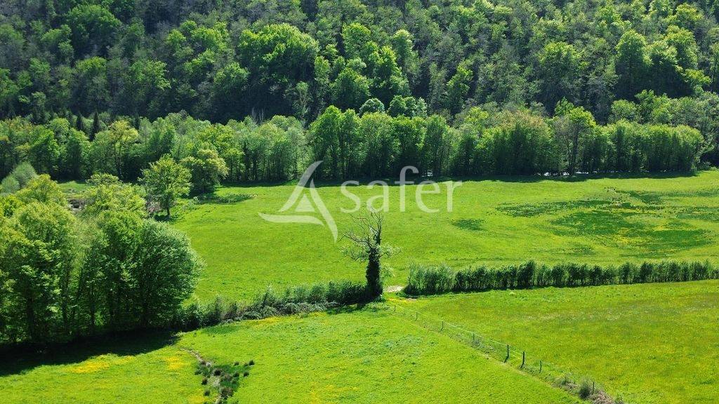Azienda agricola In vendita Corrèze