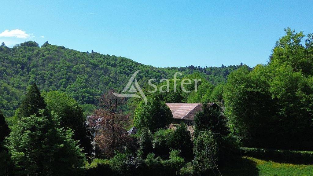 Azienda agricola In vendita Corr&egrave;ze