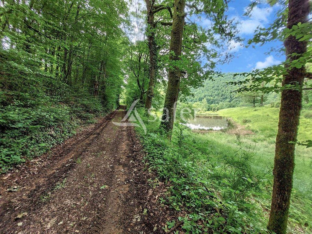 Azienda agricola In vendita Corr&egrave;ze