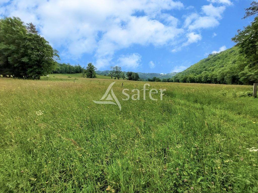 Azienda agricola In vendita Corr&egrave;ze