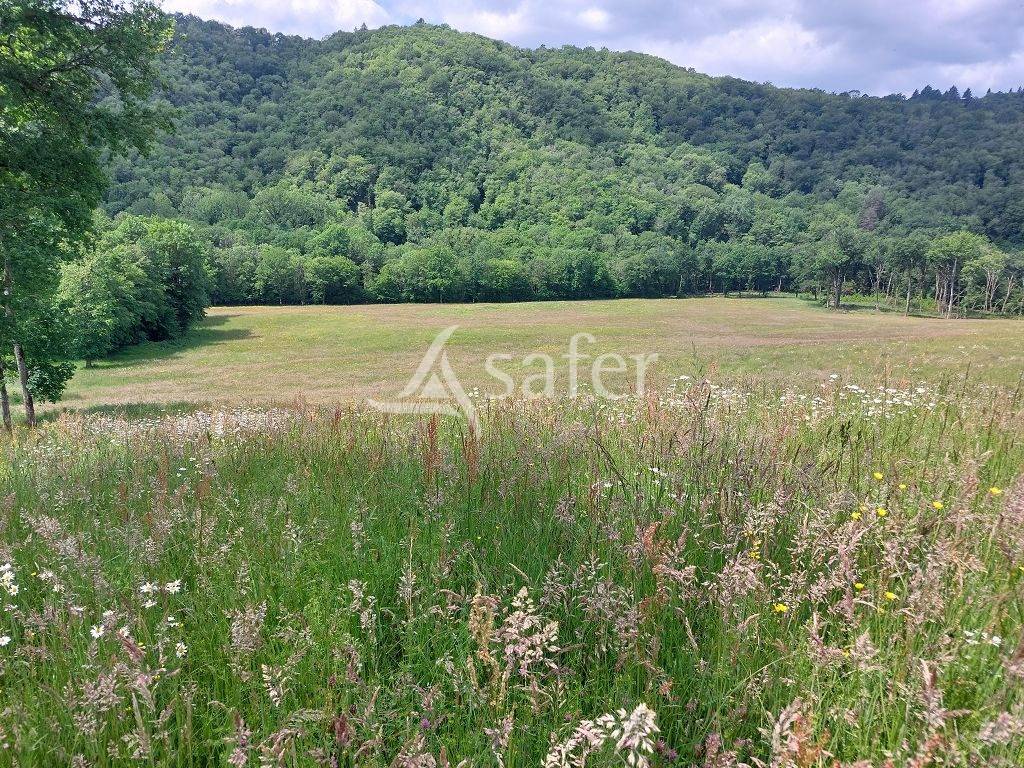 Azienda agricola In vendita Corr&egrave;ze