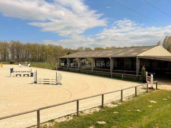 Centro di stagione cavallo In vendita Eure