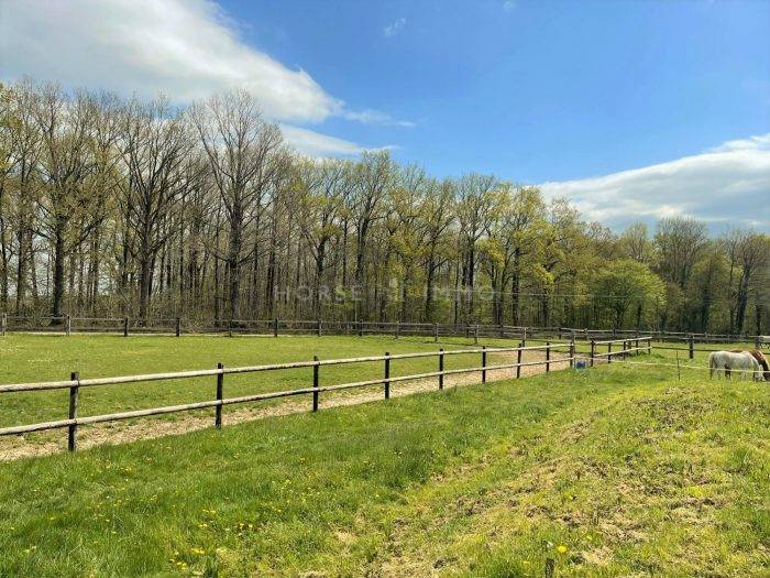 Centro di stagione cavallo In vendita Eure