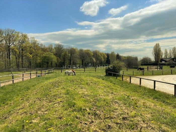 Centro di stagione cavallo In vendita Eure