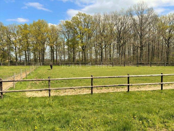 Centro di stagione cavallo In vendita Eure