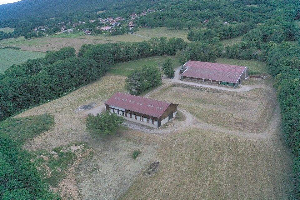 Scuderia per proprietari In vendita Ain