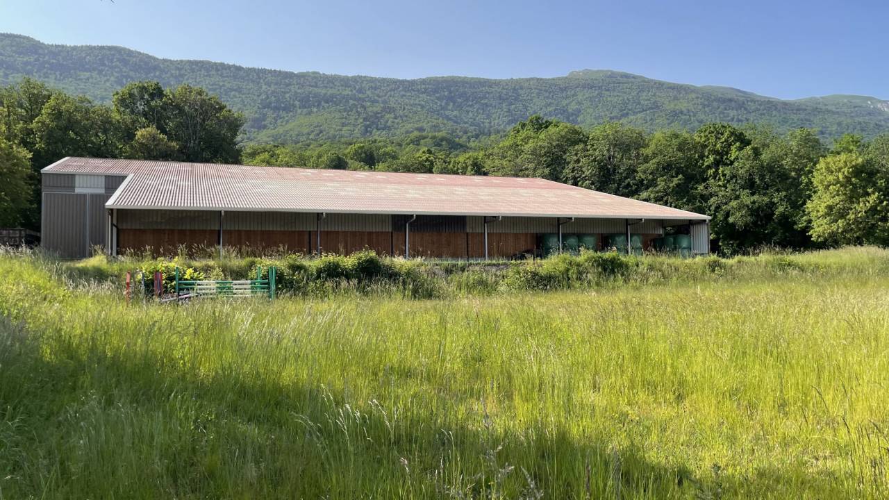 Scuderia per proprietari In vendita Ain