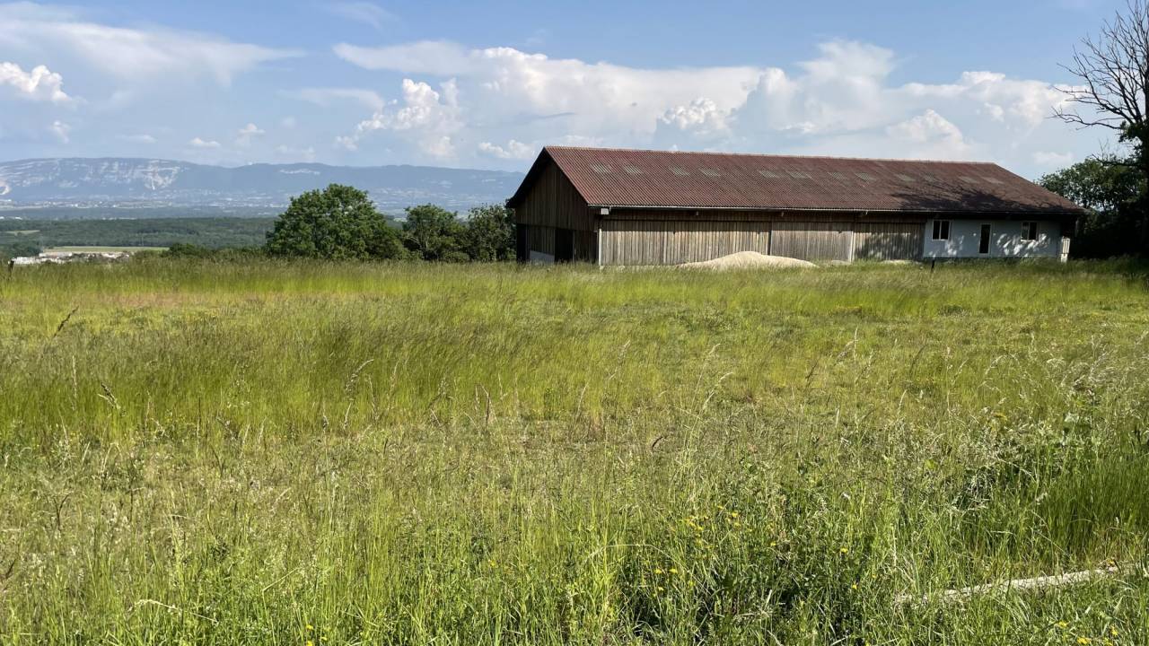 Scuderia per proprietari In vendita Ain