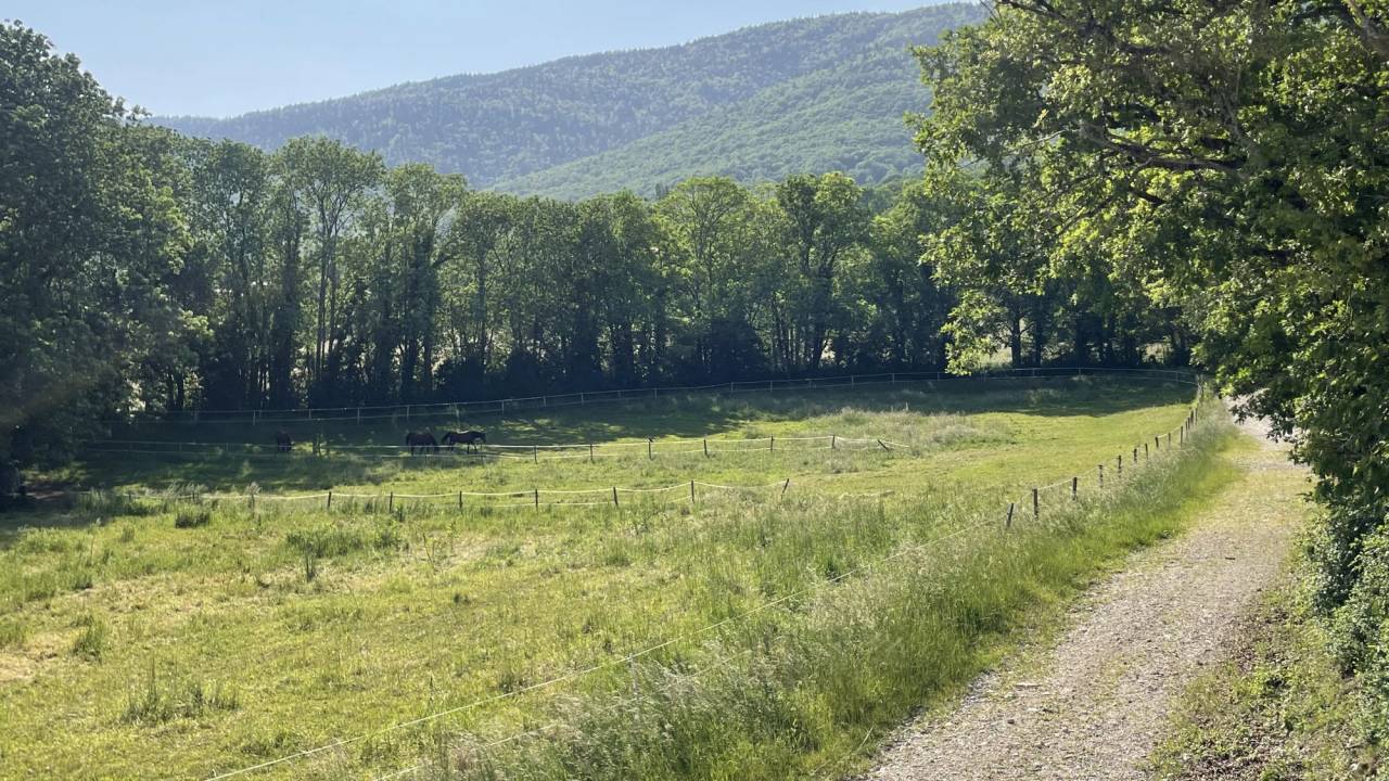 Scuderia per proprietari In vendita Ain