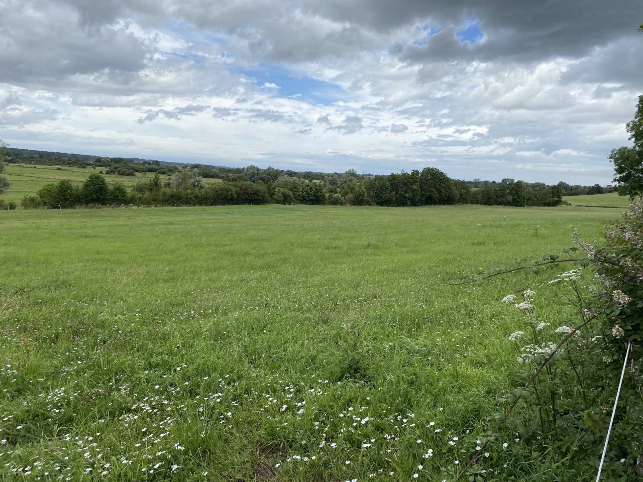 Centro di stagione cavallo In vendita Calvados