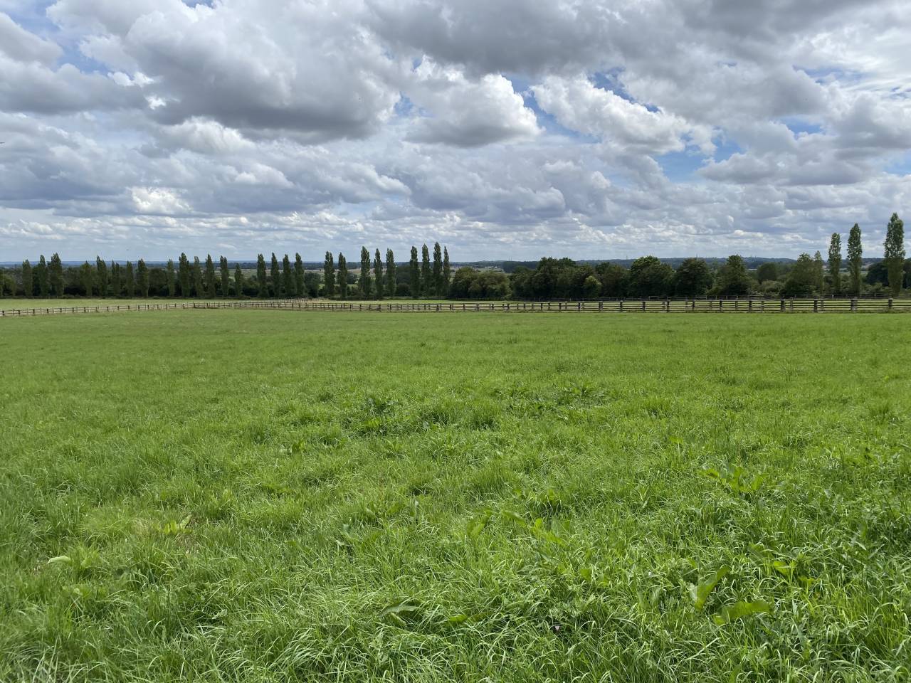 Centro di stagione cavallo In vendita Calvados