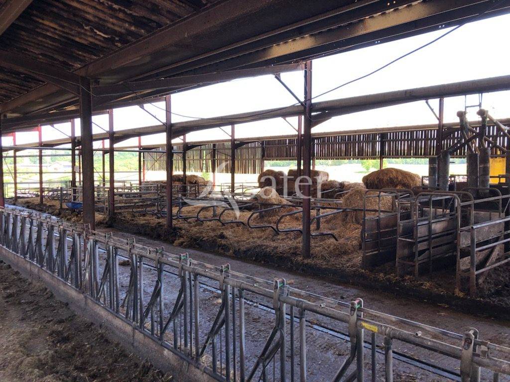 Azienda lattaia In vendita Dordogne