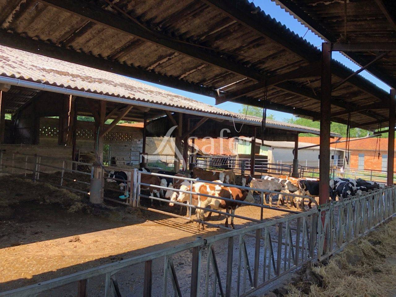 Azienda lattaia In vendita Dordogne