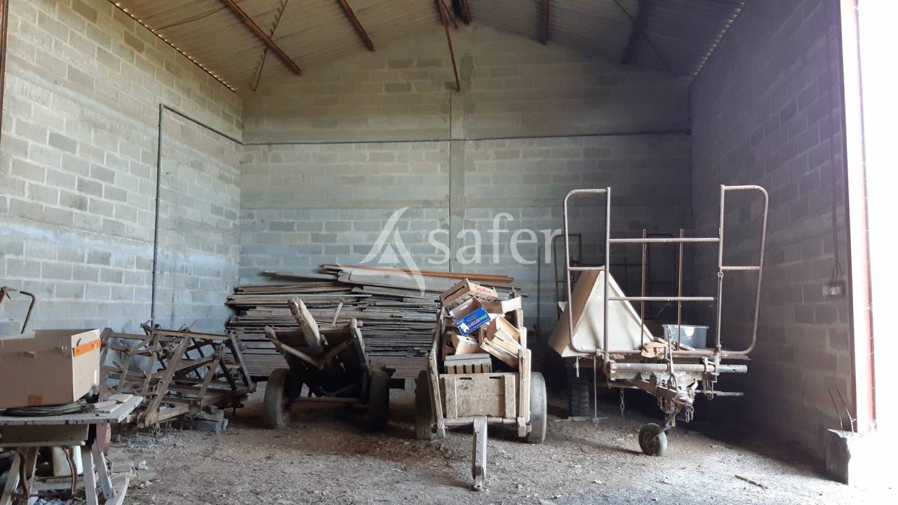 Azienda agricola In vendita Charente-Maritime