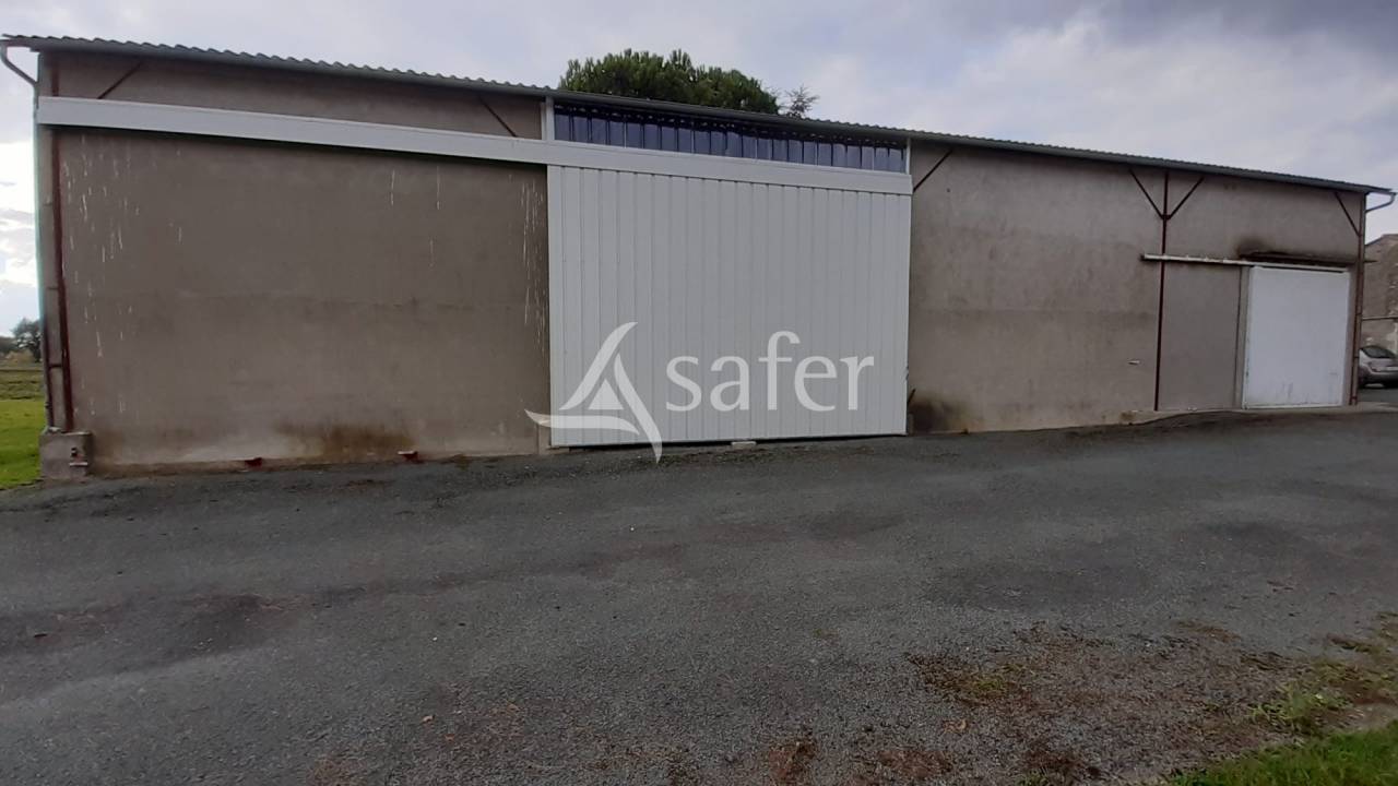 Azienda agricola In vendita Charente-Maritime