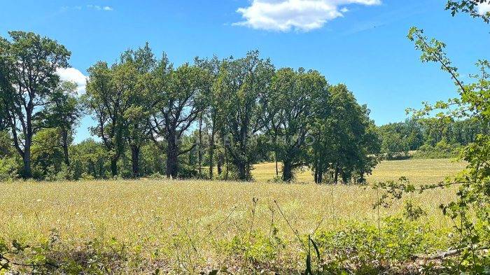 Proprietà equestre In vendita Var