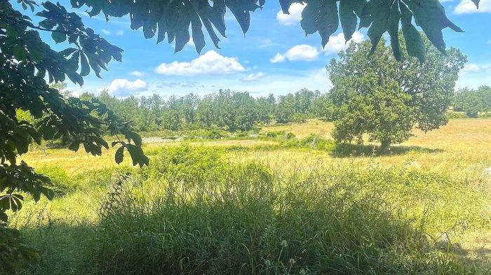 Proprietà equestre In vendita Var