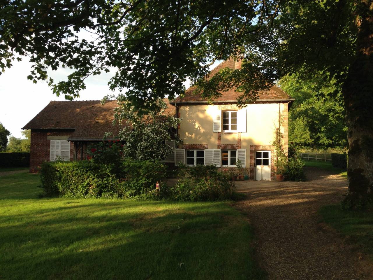 Centro di stagione cavallo In vendita 