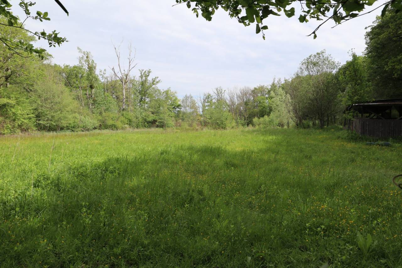 Proprietà equestre In vendita 