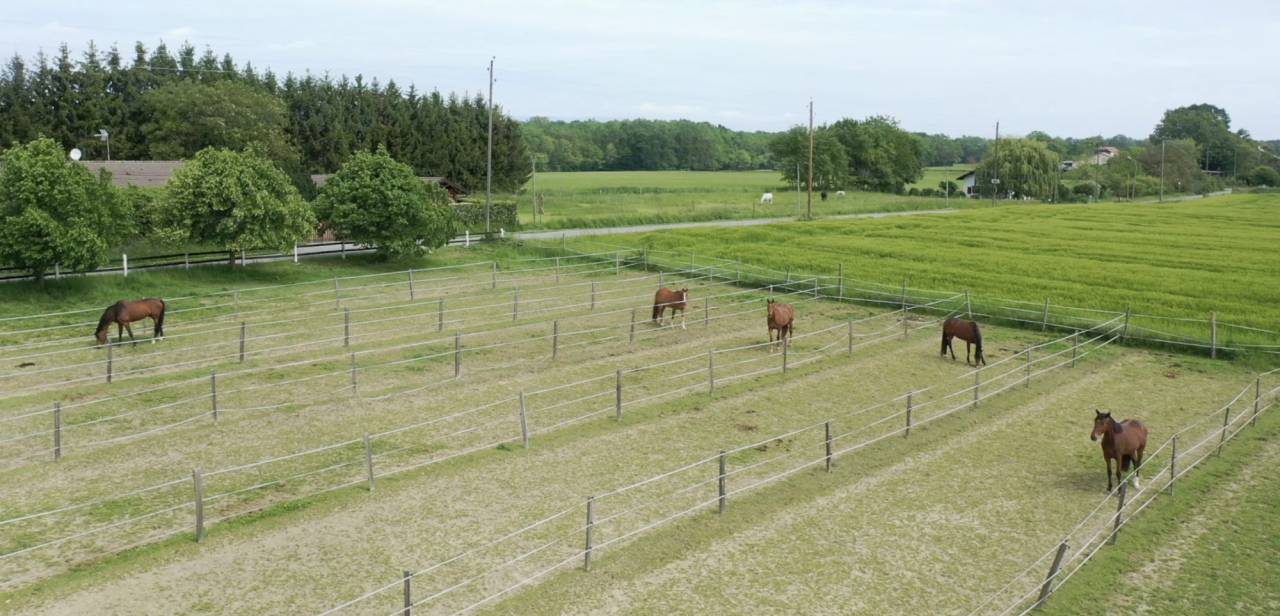 Proprietà equestre In vendita 