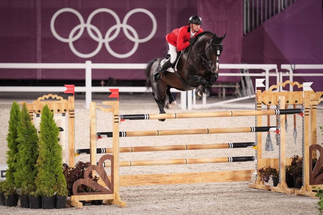 Puledro Sella Francese In vendita 2023 Baio scuro ,  Quel homme de Hus