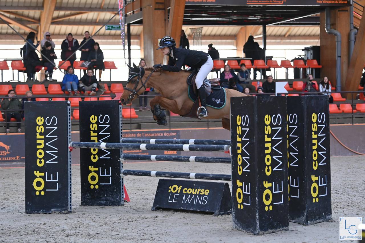 Cavalla New Forest Noleggio 2011 Sauro