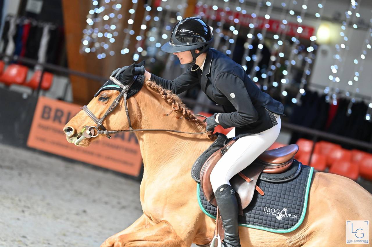 Cavalla New Forest Noleggio 2011 Sauro