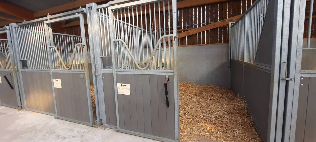 Pony club In vendita Deux-S&egrave;vres