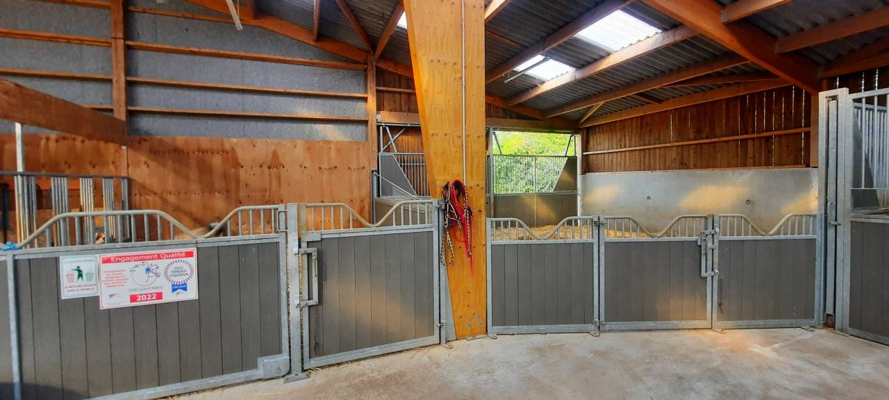 Pony club In vendita Deux-S&egrave;vres