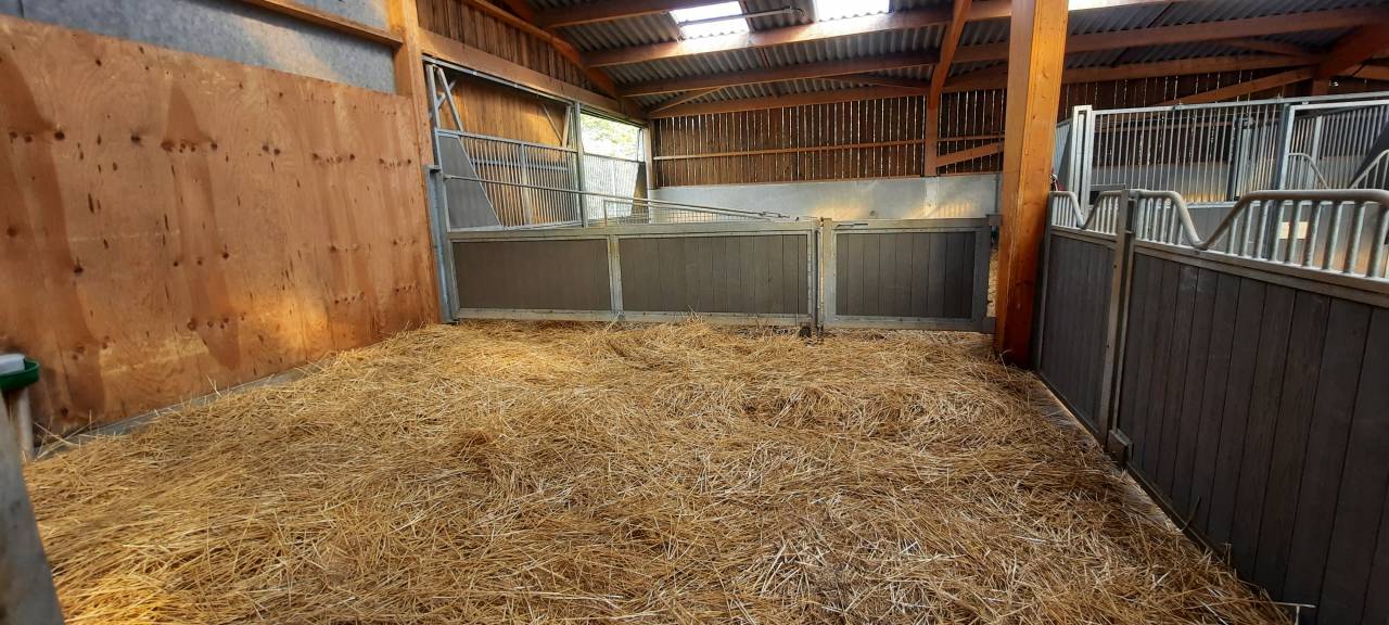 Pony club In vendita Deux-S&egrave;vres