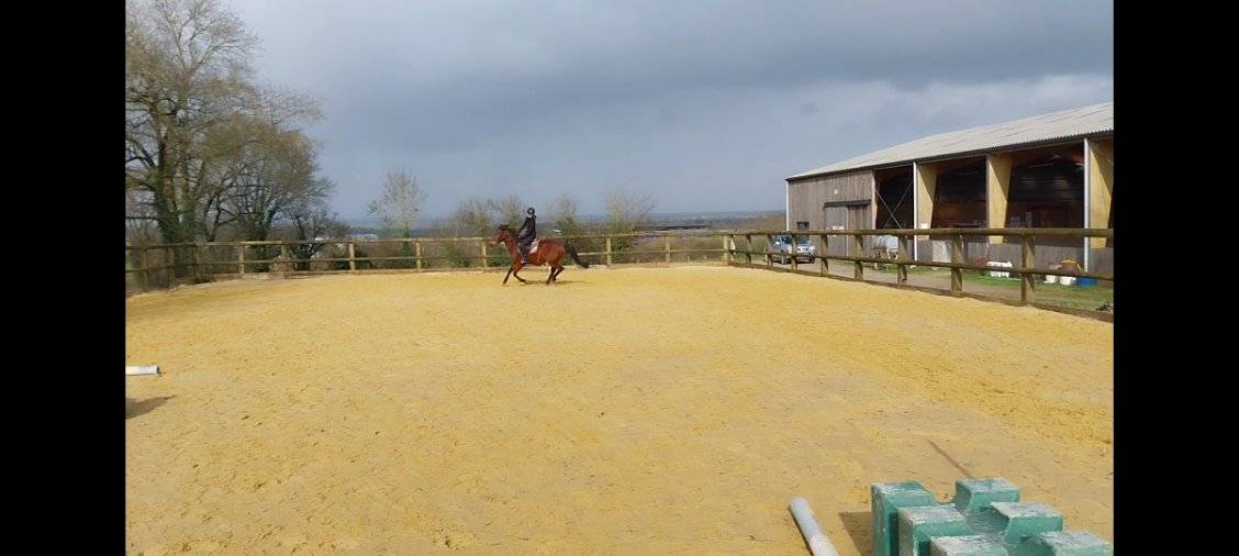 Pony club In vendita Deux-S&egrave;vres