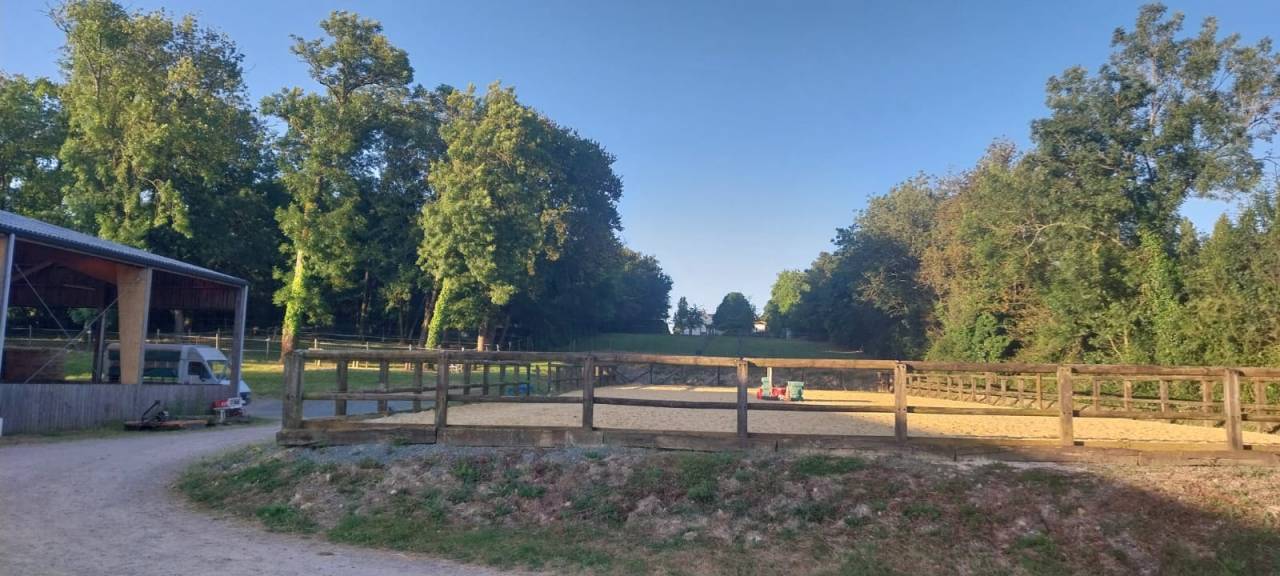 Pony club In vendita Deux-S&egrave;vres