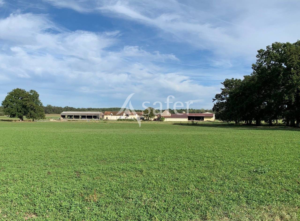 Azienda cerealicola In vendita Loir-et-Cher