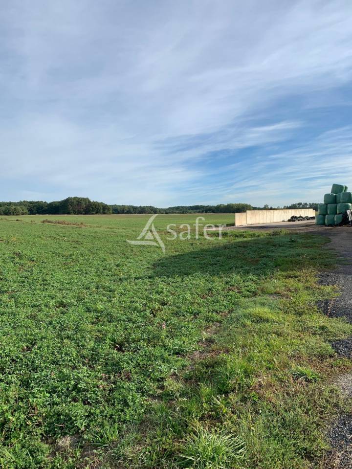 Azienda cerealicola In vendita Loir-et-Cher