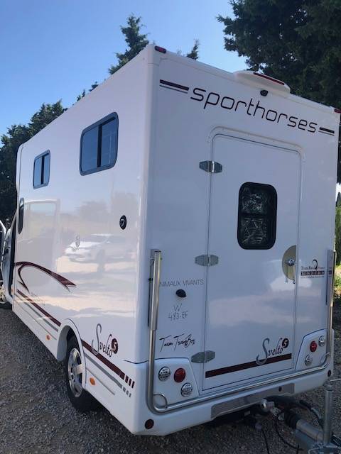 Van per Cavalli Trans Box New svelto 5  2024 Nuovo