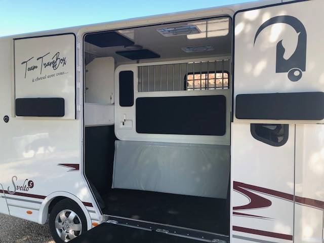 Van per Cavalli Trans Box New svelto 5  2024 Nuovo