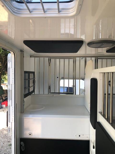 Van per Cavalli Trans Box New svelto 5  2024 Nuovo