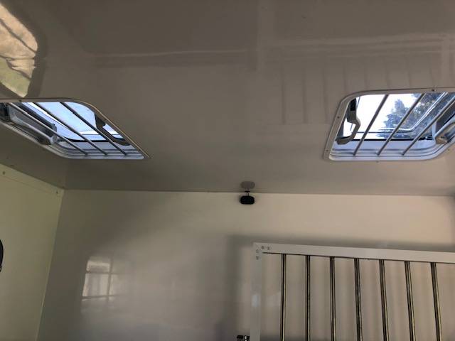 Van per Cavalli Trans Box New svelto 5  2024 Nuovo