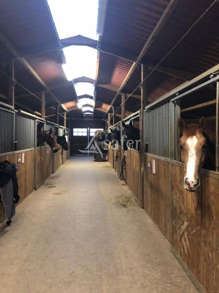 Proprietà equestre In vendita Aveyron