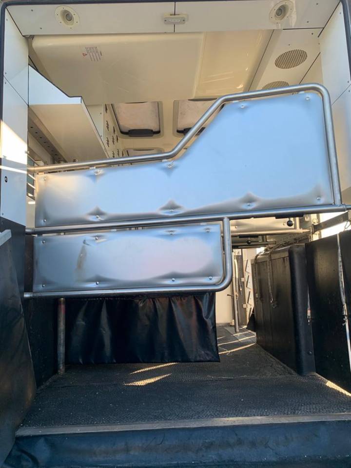 Camion per Cavalli Ketterer MERCEDES 2013 Occasione