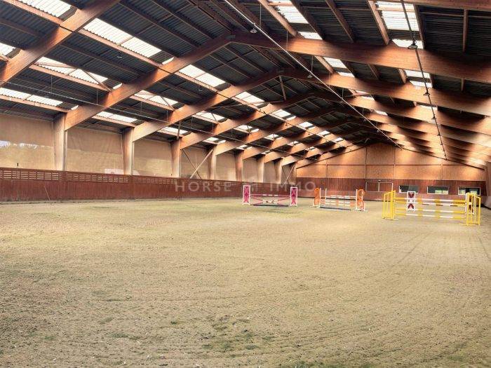 Centro di stagione cavallo In vendita Loiret